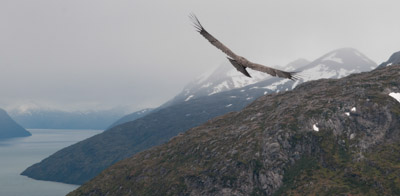 Ski Patagonia - Chilean Fjords